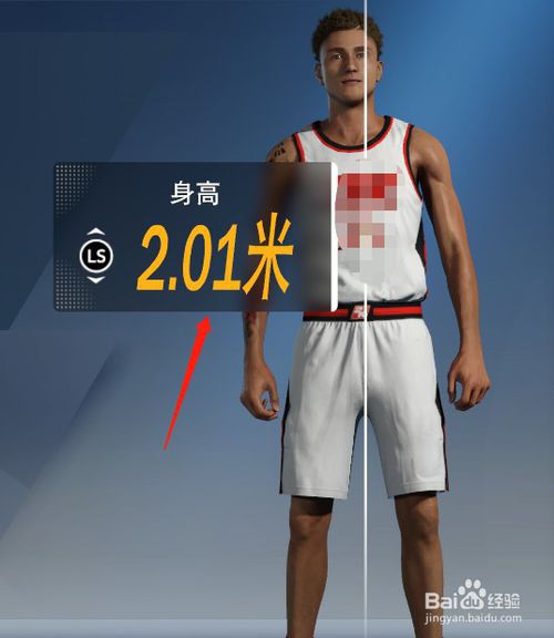 身高可选择2米01,体重可选择是101千克,臂展可选择208厘米.