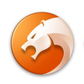 猎豹安全浏览器icon图