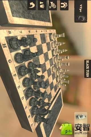 Real Chess截图3