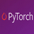 PyTorchicon图