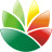 Logo设计软件icon图