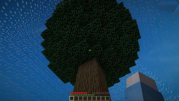 我的世界：只有一棵树的生存地图，你玩过吗？能存活多久？