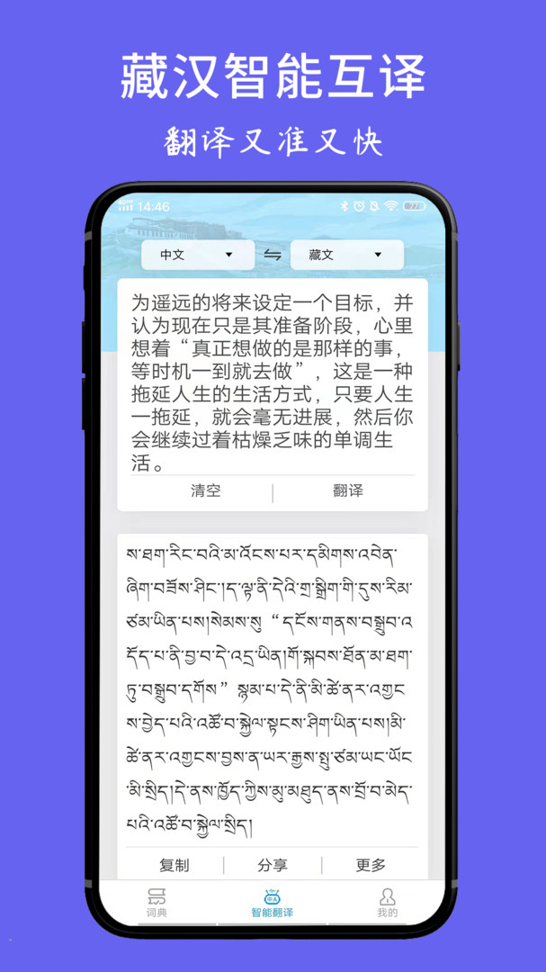 藏文翻译词典电脑版截图3