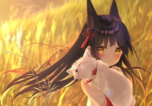 精灵骑士jsk游戏截图2