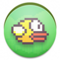 小鸟飞飞游戏icon图