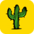 Kaktusicon图