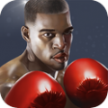 Punch Boxing 3Dicon图