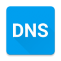 DNS Changericon图