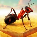 Little Ant Colonyicon图
