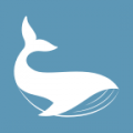 鲸交所中文版icon图