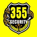 355安全服务icon图