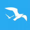 海鸥日记icon图