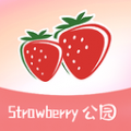草莓公园icon图
