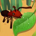 蚂蚁进化3d小游戏电脑版icon图