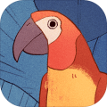 孤独的鹦鹉游戏icon图