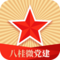 八桂微党建icon图
