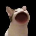 popcat啵嘴猫表情包电脑版icon图