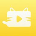 猫咪视频icon图