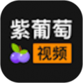 紫葡萄视频icon图
