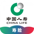 中国人寿保险app游戏图标
