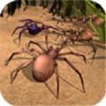 消灭蜘蛛模拟器icon图