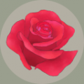 玫瑰花园icon图