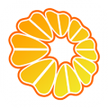 橙意健康管理客户端icon图