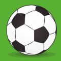 足球经理2023手游汉化版电脑版icon图