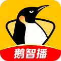 企鹅体育直播电脑版icon图