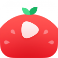 番茄视频电脑版icon图
