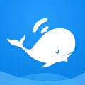 大蓝鲸icon图
