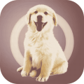 人狗对话器中文版icon图