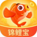 锦鲤宝icon图