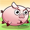 救救这只猪小游戏icon图