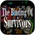 The Binding Of Survivorsicon图