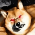 肌肉柴犬游戏电脑版icon图