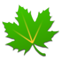 绿色守护icon图