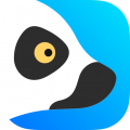 狐猴浏览器免费用chatgpt电脑版icon图