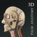 掌上3D解剖icon图