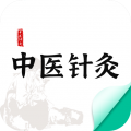 中医针灸icon图
