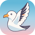 海鸥直播电脑版icon图