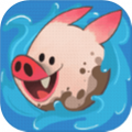 洗猪混战icon图