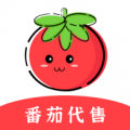 番茄代售icon图