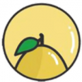 小柚子icon图
