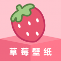草莓壁纸icon图
