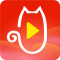 祝福猫视频icon图