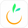 橙宝网icon图