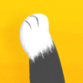 猫爪app社交icon图
